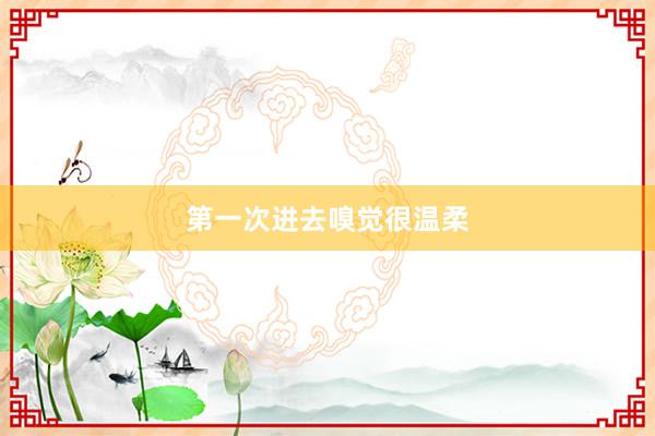 第一次进去嗅觉很温柔